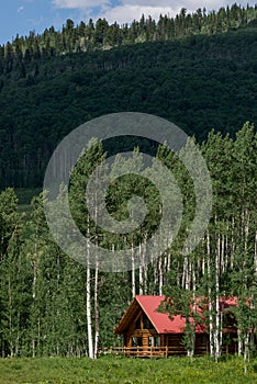 Log cabin home in mountain forest