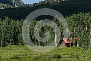 Log cabin home in mountain forest