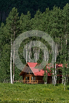 Log cabin home in mountain forest