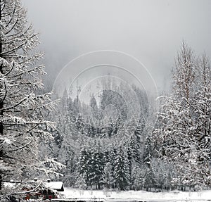 A log cabin lies hidden beneath the snow covered trees