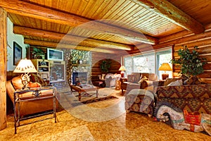 Log cabin living room interior.