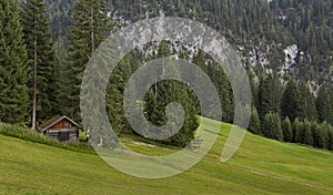 Log cabin in the forest