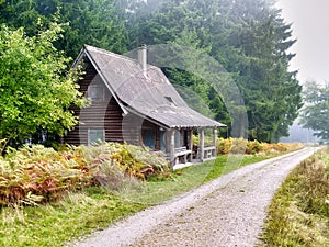 Log cabin, in the morning at the forest in fog