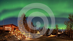 A log cabin in pine forest under Aurora borealis at YellowKnife