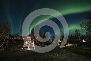 A log cabin in pine forest under Aurora borealis at YellowKnife