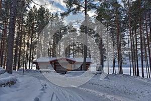 Log cabin in a pine forest in winter