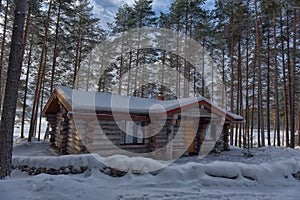 Log cabin in a pine forest in winter