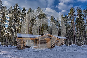 Log cabin in a pine forest in winter