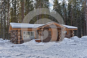 Log cabin in a pine forest in winter