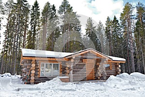 Log cabin in a pine forest in winter