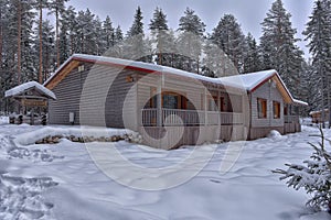 Log cabin in a pine forest in winter