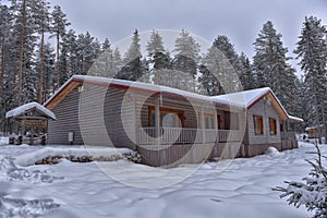 Log cabin in a pine forest in winter