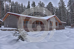 Log cabin in a pine forest in winter