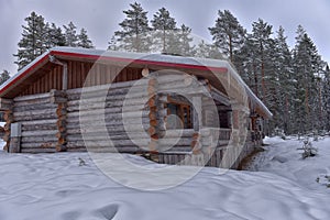 Log cabin in a pine forest in winter