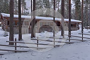 Log cabin in a pine forest in winter