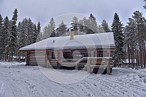 Log cabin in a pine forest in winter