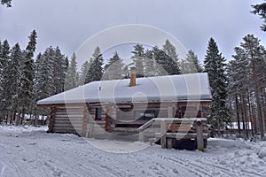 Log cabin in a pine forest in winter