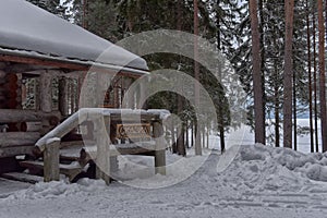 Log cabin in a pine forest in winter