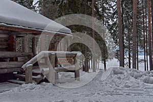 Log cabin in a pine forest in winter