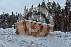 Log cabin in a pine forest in winter