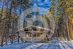 Log cabin in a pine forest in winter