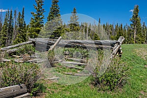 Log Cabin Poles