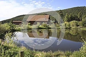 Log cabin by pond