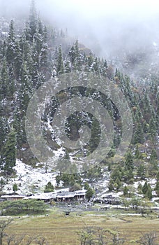 Log cabin in the snow