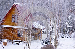 Log cabin in snowy forest