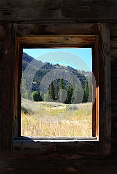 Log Cabin View