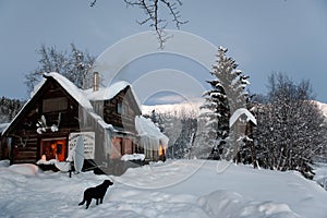 Log Cabin in the wilds with black dog