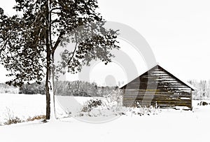 Log Cabin in a Winter Wonderland