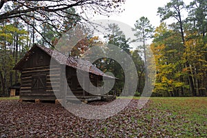 Log Cabin in the Woods photo