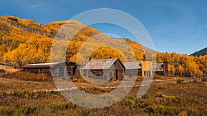 Log Cabins Ashcroft Town Colorado in Peak Fall Colors