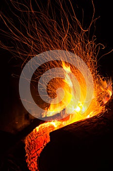 Log Campfire Burning at Night