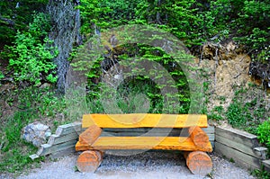 Log chair on Canadian forest trail