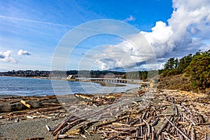 Log covered beach at Esquimalt Lagoon