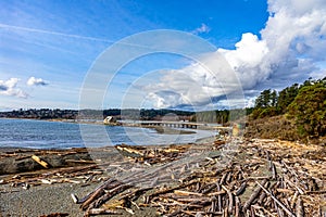 Log covered beach at Esquimalt Lagoon photo