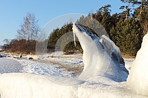 The log covered with ice on the bank of the riverbank