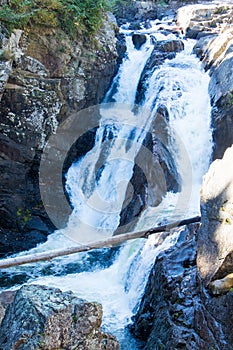 Log fallen across High Falls Gorge.