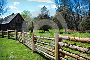 Log Fence Barn Cow