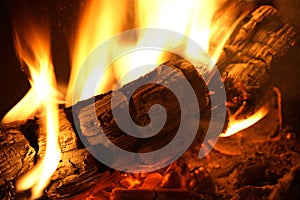 Log on fire photo