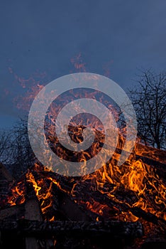 Log fire flame in fireplace outdoor. Burning blaze outside, campfire.