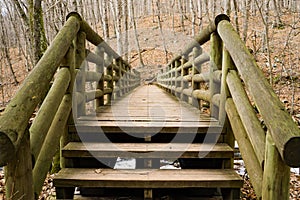 A Log Footbridge