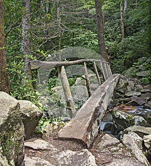 Log Footbridge, Great Smoky Mountains National Park photo