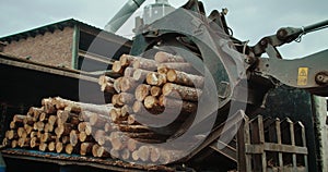 Log grab tractor loading pine trunk onto conveyor belt at sawmill factory