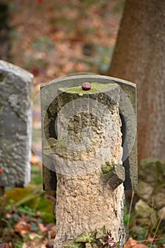 Log and a grave in Weissensee Jewish Cemetery in Berlin Germany