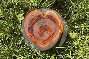 Log heart