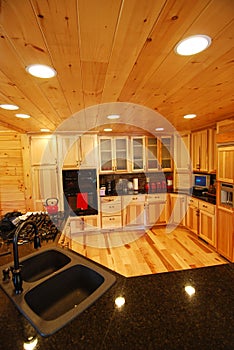 Log house kitchen interior