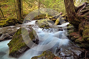 Log Jam at Panther Creek